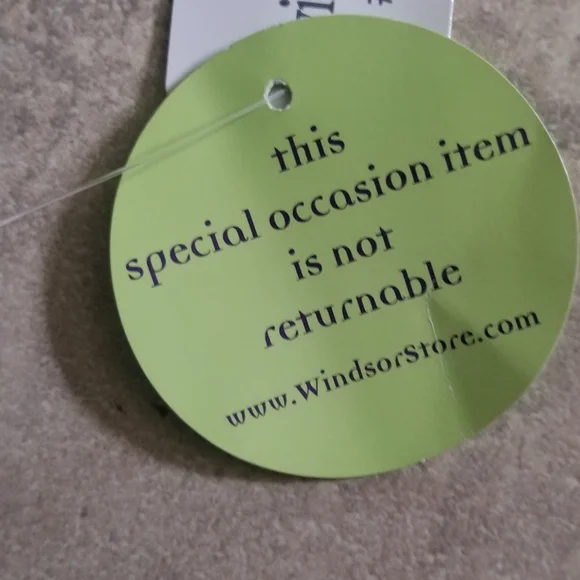 Windsor Emerald Green Satin Ruched Slip Dress - Picture 6 of 6